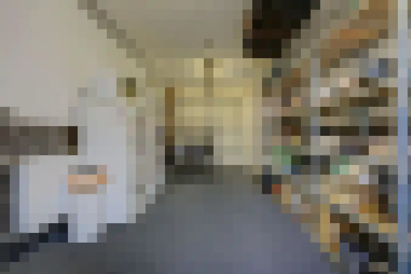 Dokter Zoetemanstraat 9 Stavenisse thumbnail 47