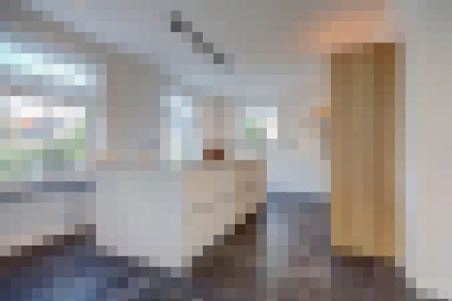 Dokter Zoetemanstraat 9 Stavenisse thumbnail 5