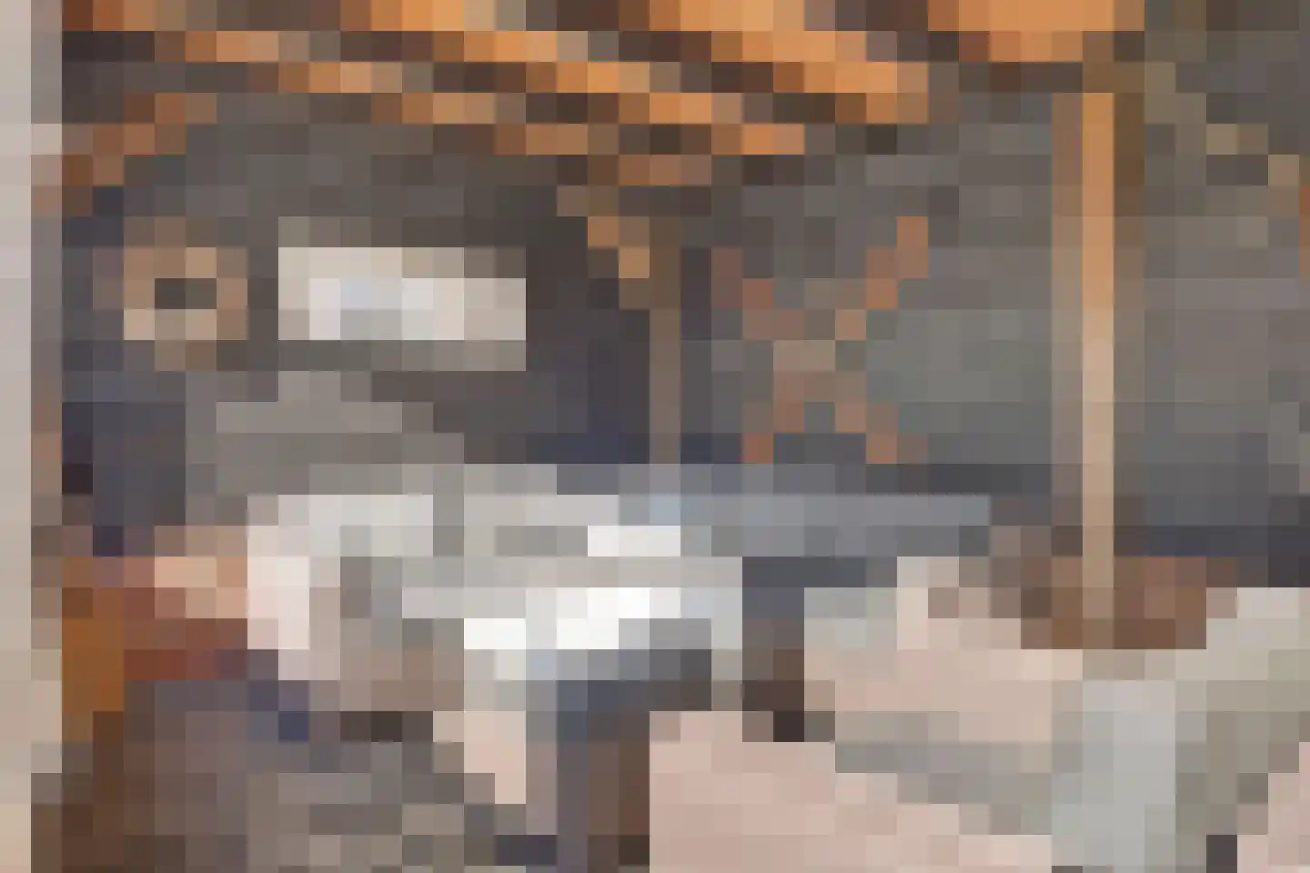 Dokter Zoetemanstraat 9 Stavenisse thumbnail 52
