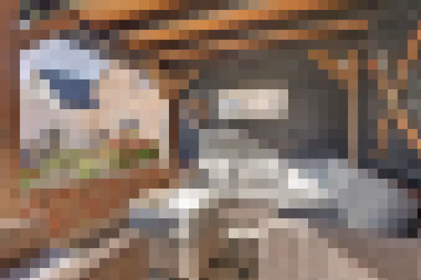 Dokter Zoetemanstraat 9 Stavenisse thumbnail 53