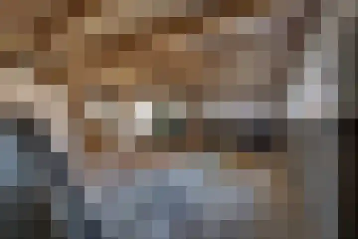 Doktersdijk 1 Barchem thumbnail 14