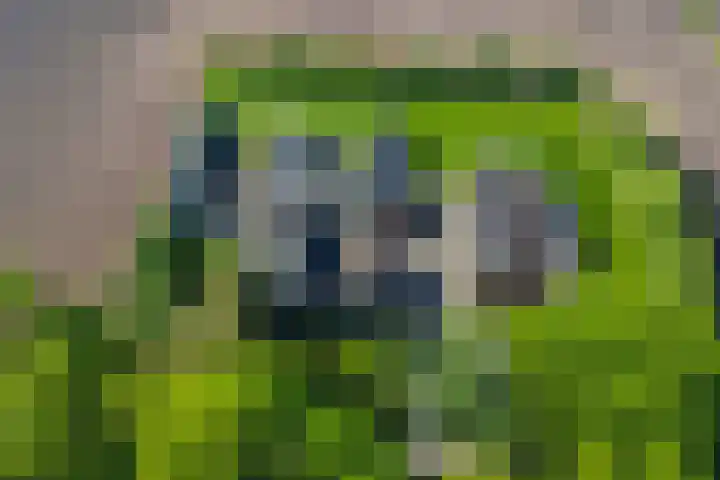 Doktersdijk 1 Barchem thumbnail 15