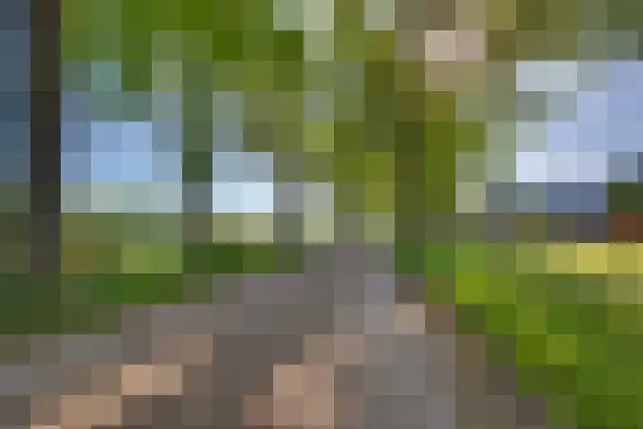 Doktersdijk 1 Barchem thumbnail 21