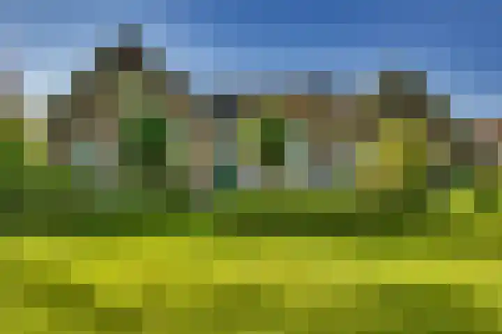 Doktersdijk 1 Barchem thumbnail 22