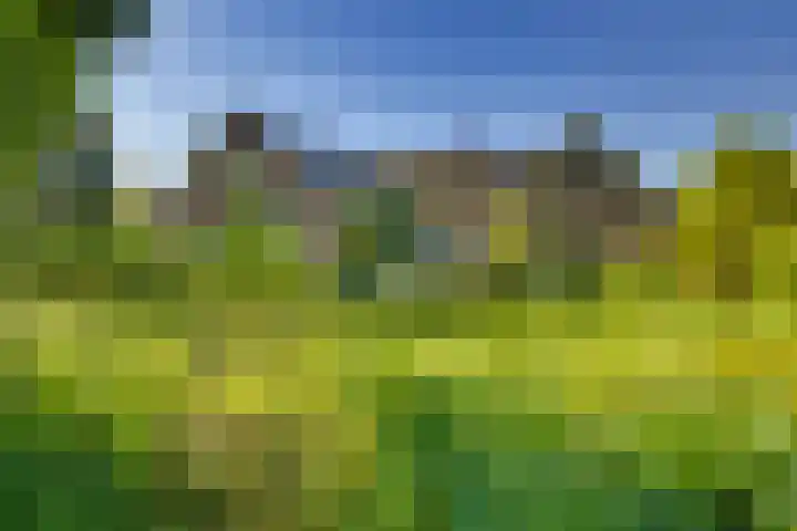 Doktersdijk 1 Barchem thumbnail 32