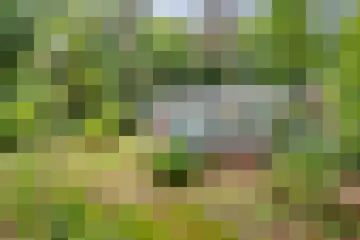 Doktersdijk 2 H10 Barchem thumbnail 17
