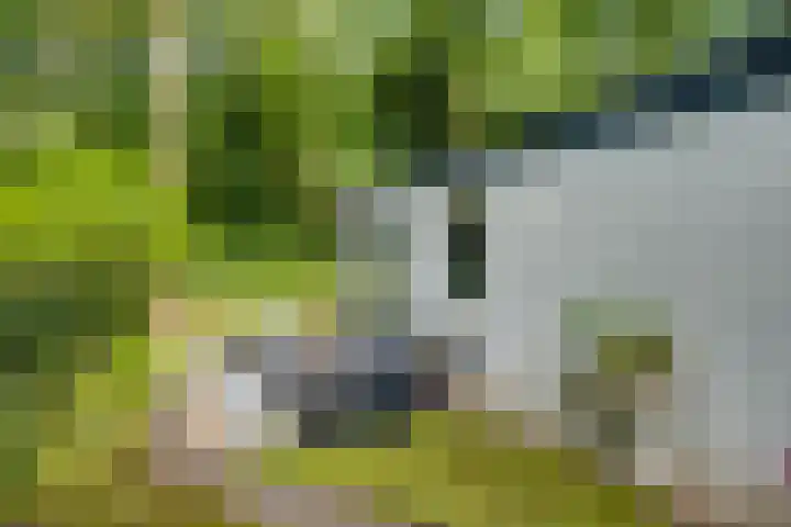 Doktersdijk 2 H10 Barchem thumbnail 20