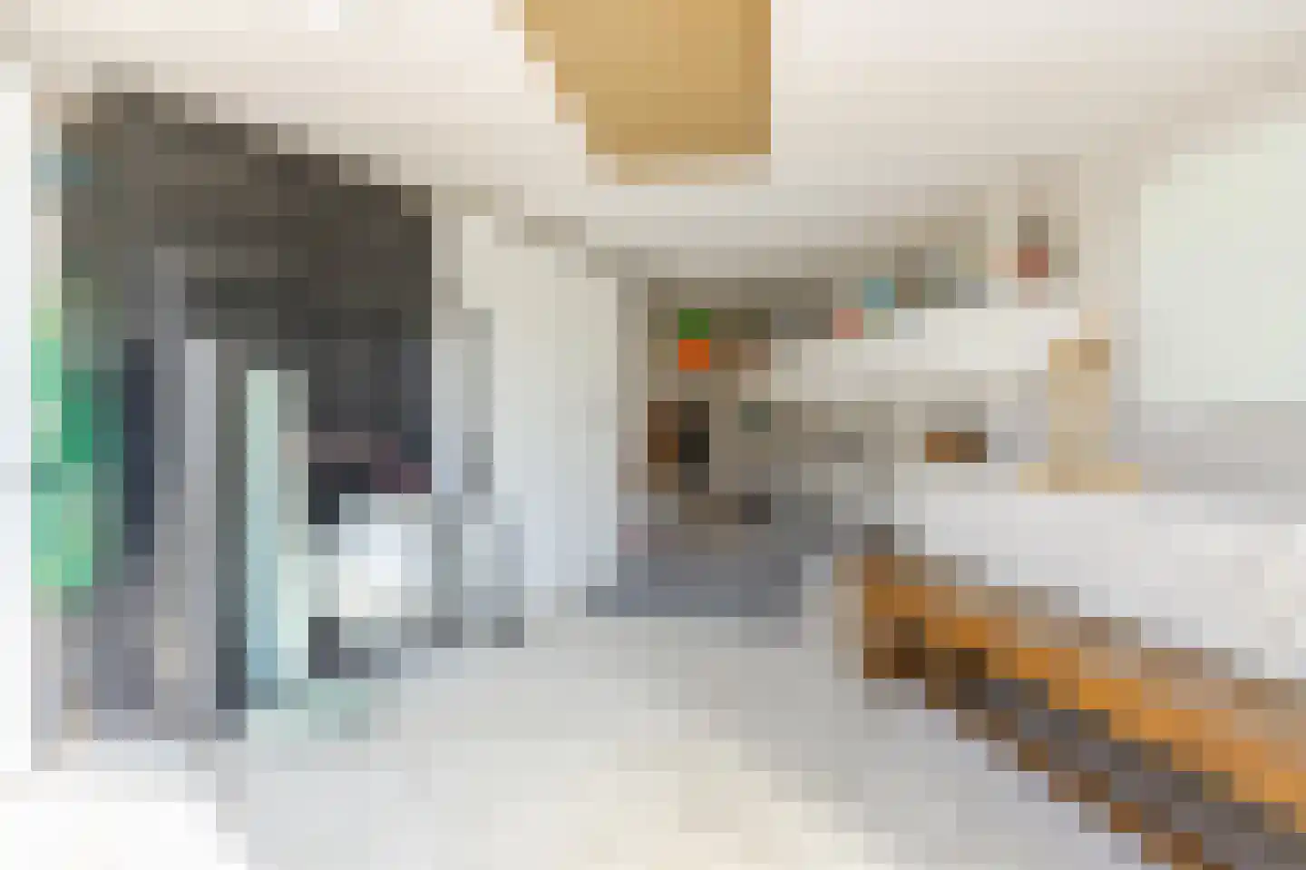 Doktersdreefje 18 Steenbergen thumbnail 38