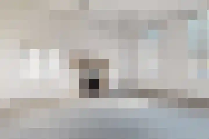 Doktersdreefje 2 Steenbergen thumbnail 12