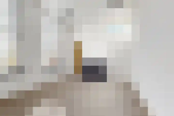 Doktersdreefje 2 Steenbergen thumbnail 14