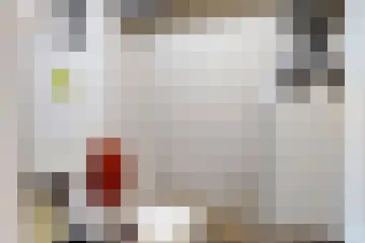 Doktersdreefje 2 Steenbergen thumbnail 31
