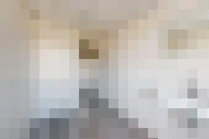 Doktersdreefje 2 Steenbergen thumbnail 36