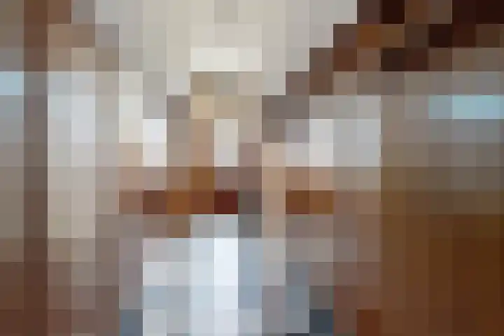 Doktersdreefje 2 Steenbergen thumbnail 9