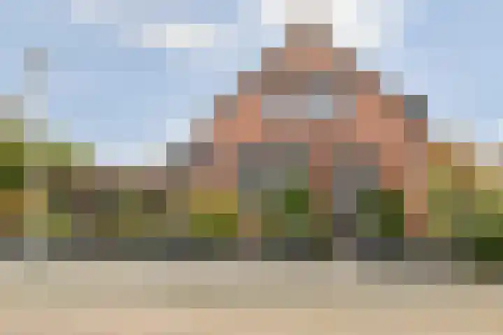 Doktersdreefje 21 Steenbergen