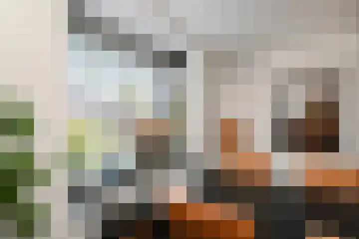 Doktersdreefje 21 Steenbergen thumbnail 14