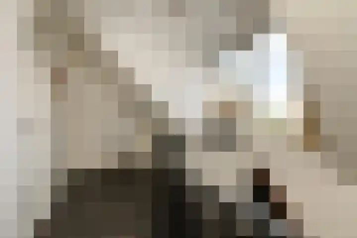 Doktersdreefje 21 Steenbergen thumbnail 24