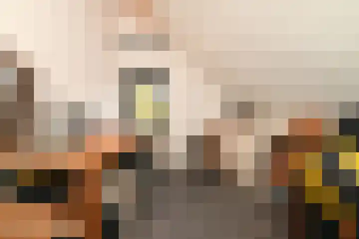 Doktersdreefje 21 Steenbergen thumbnail 34