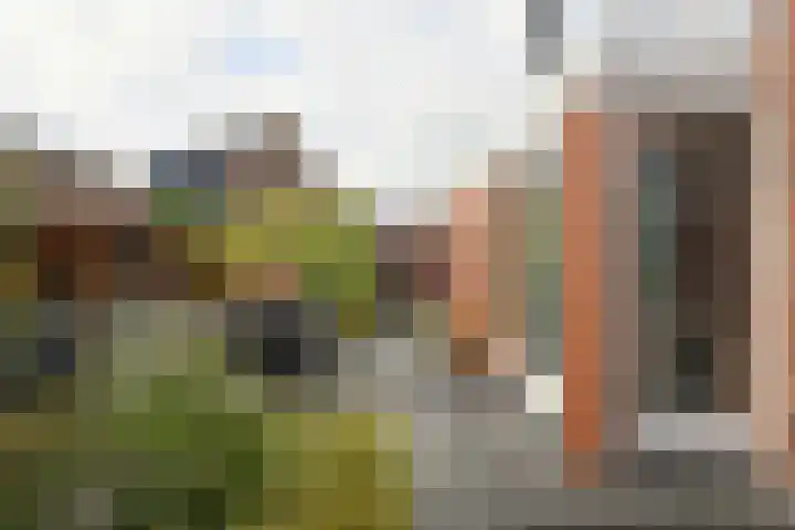 Doktersdreefje 21 Steenbergen thumbnail 36