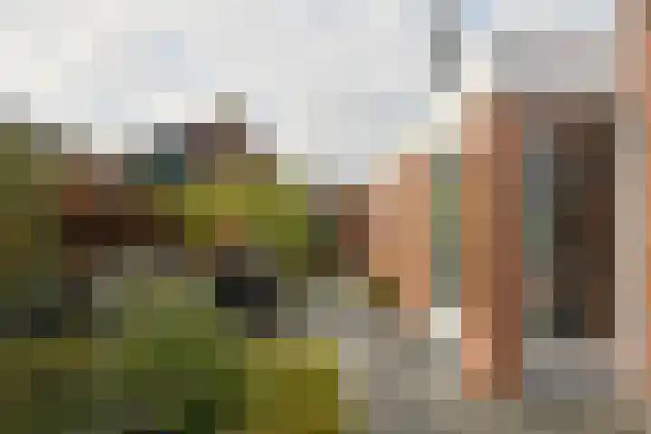 Doktersdreefje 21 Steenbergen thumbnail 37