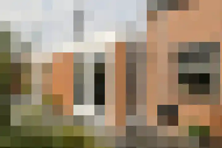 Doktersdreefje 21 Steenbergen thumbnail 38