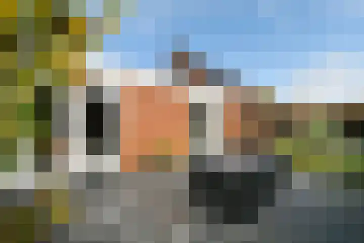 Doktersdreefje 21 Steenbergen thumbnail 44