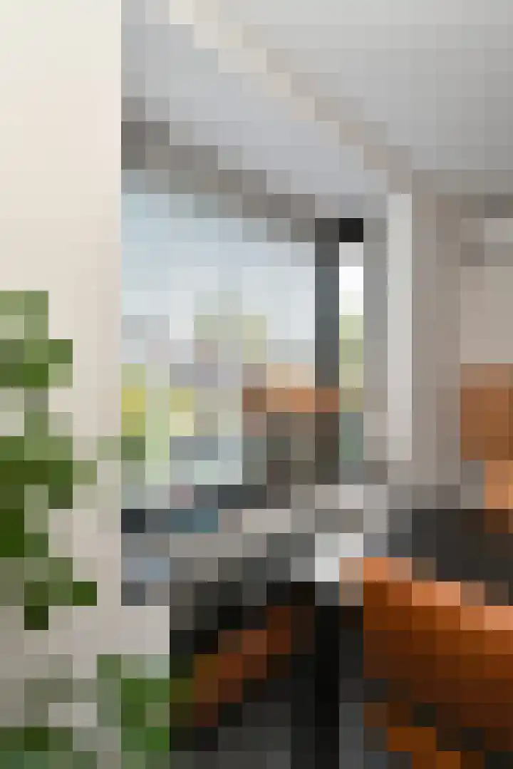 Doktersdreefje 21 Steenbergen thumbnail 46