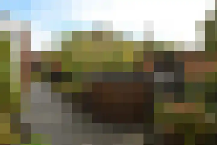 Doktersdreefje 21 Steenbergen thumbnail 50