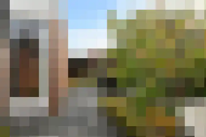 Doktersdreefje 21 Steenbergen thumbnail 51