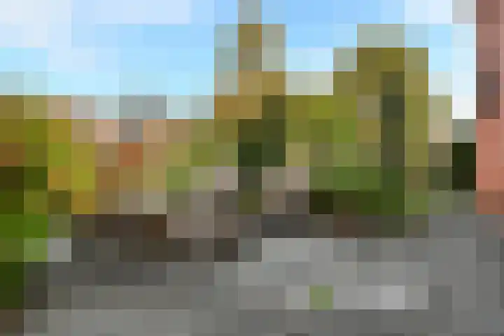 Doktersdreefje 21 Steenbergen thumbnail 54