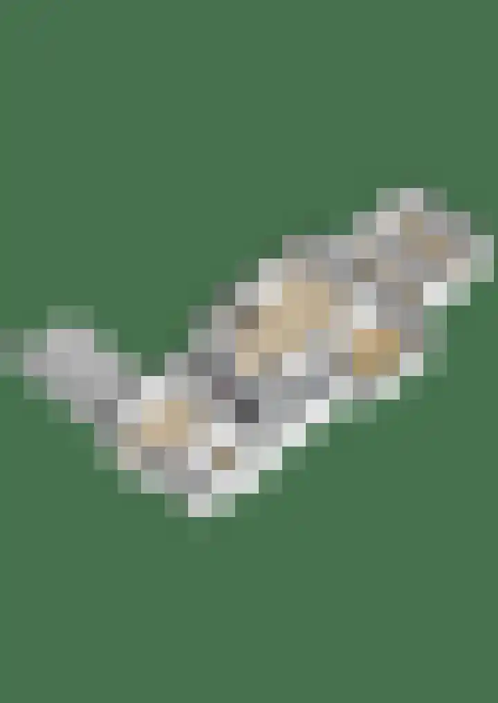 Doktersdreefje 21 Steenbergen thumbnail 58