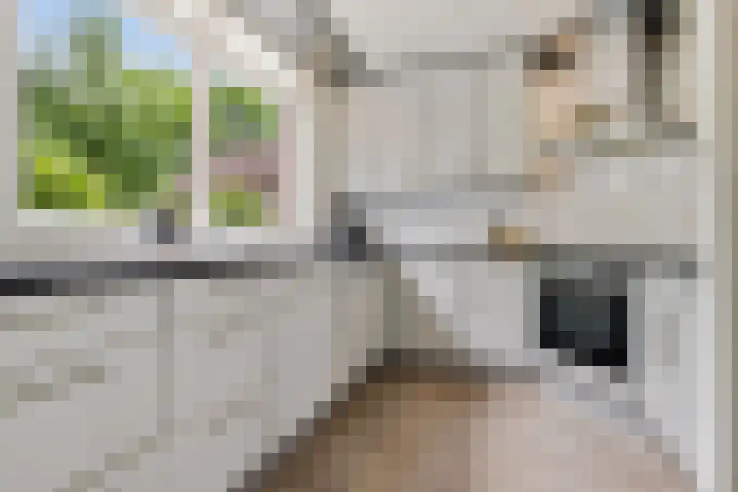 Doktersland 10 Koog aan de Zaan thumbnail 11