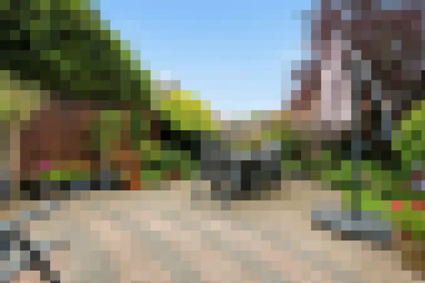 Doktersland 10 Koog aan de Zaan thumbnail 12