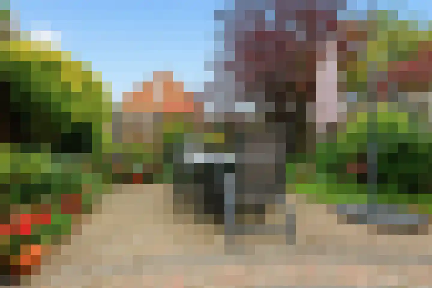 Doktersland 10 Koog aan de Zaan thumbnail 13