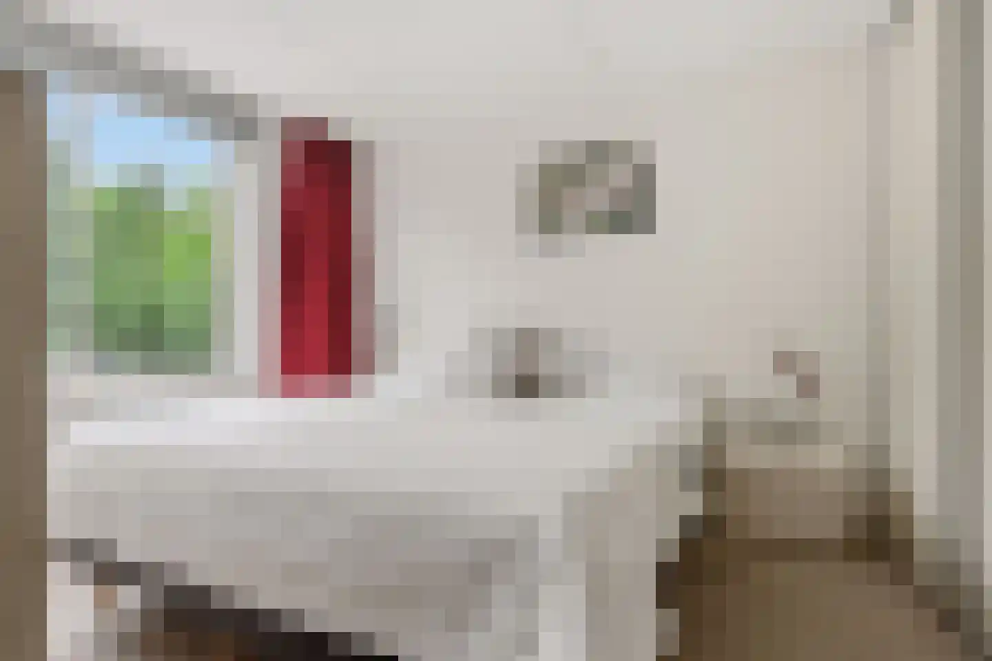 Doktersland 10 Koog aan de Zaan thumbnail 16