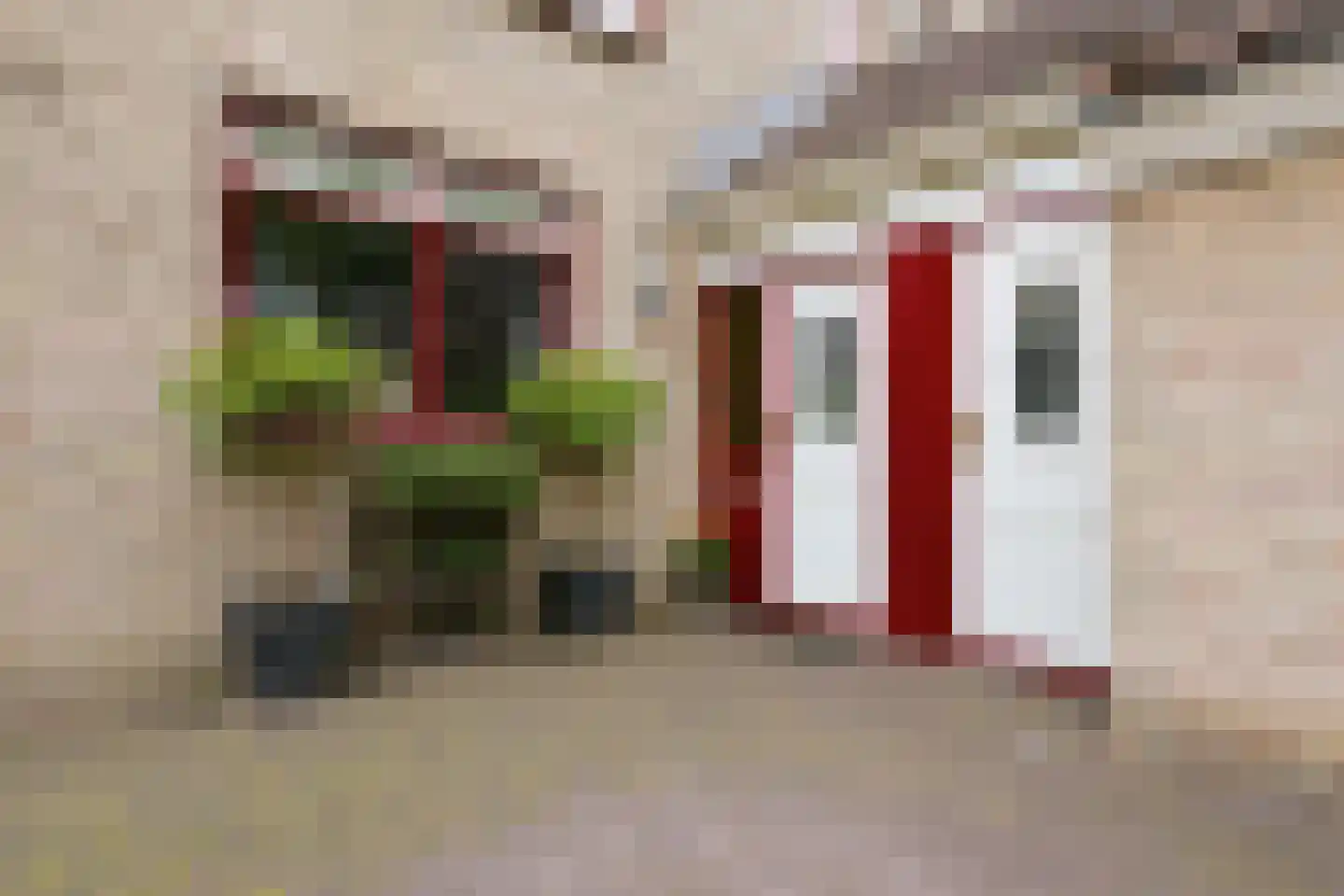 Doktersland 10 Koog aan de Zaan foto 3