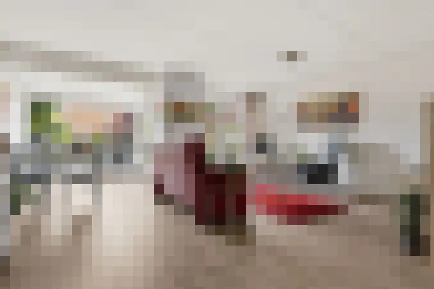 Doktersland 10 Koog aan de Zaan thumbnail 4