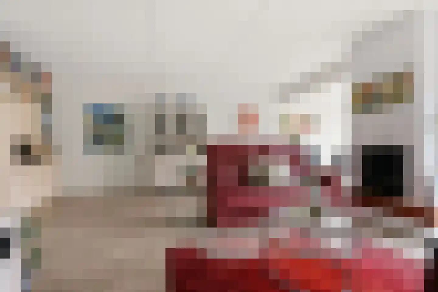 Doktersland 10 Koog aan de Zaan thumbnail 6