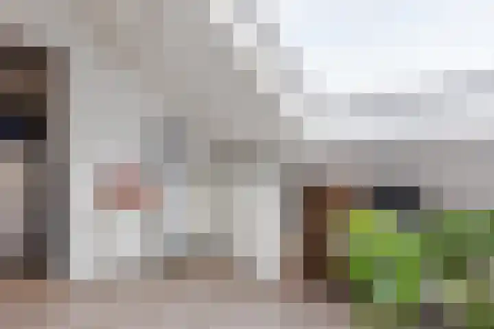 Doktersland 35 Koog aan de Zaan thumbnail 33