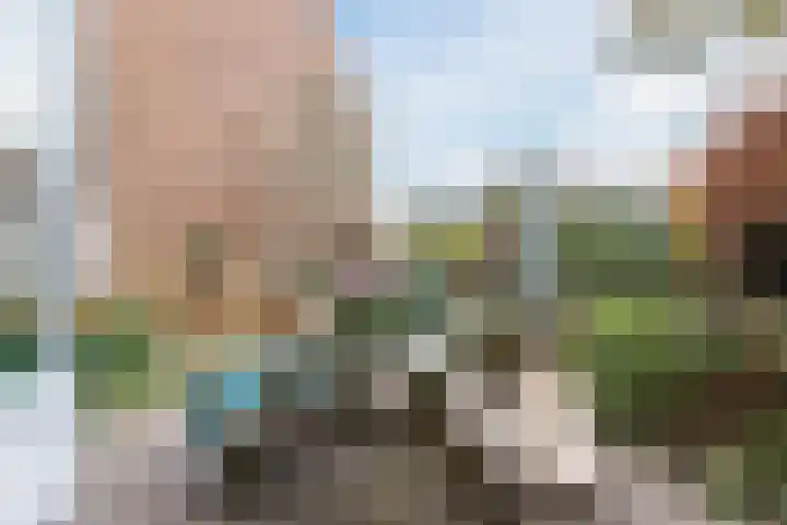 Doktersland 35 Koog aan de Zaan thumbnail 38