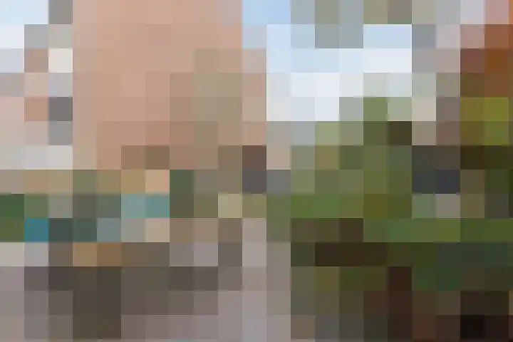 Doktersland 35 Koog aan de Zaan thumbnail 39
