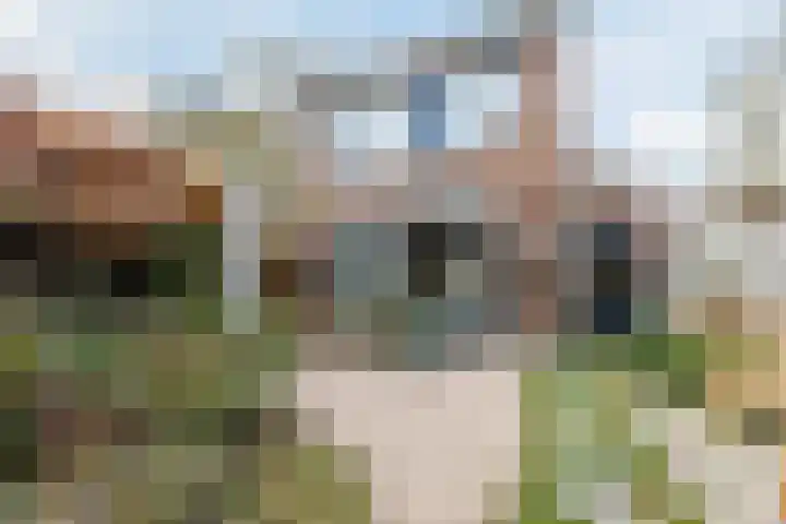 Doktersland 35 Koog aan de Zaan thumbnail 4