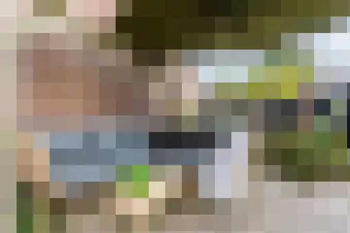 Doktersland 35 Koog aan de Zaan thumbnail 41