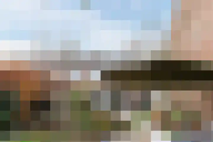 Doktersland 35 Koog aan de Zaan thumbnail 42