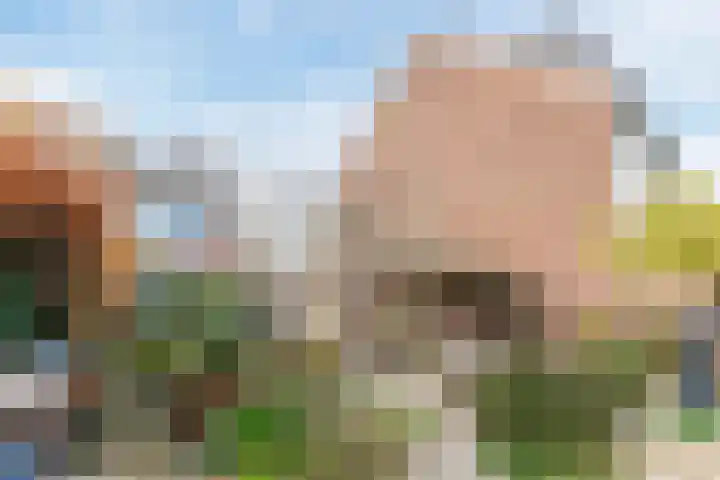 Doktersland 35 Koog aan de Zaan thumbnail 43