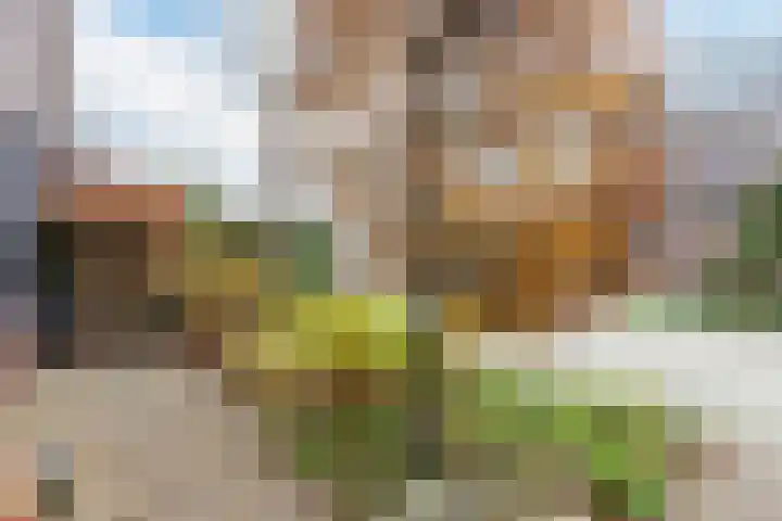 Doktersland 35 Koog aan de Zaan thumbnail 45