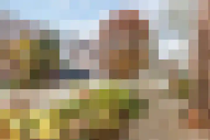 Doktersland 35 Koog aan de Zaan thumbnail 46