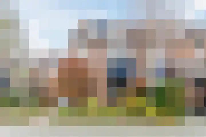 Doktersland 35 Koog aan de Zaan thumbnail 5
