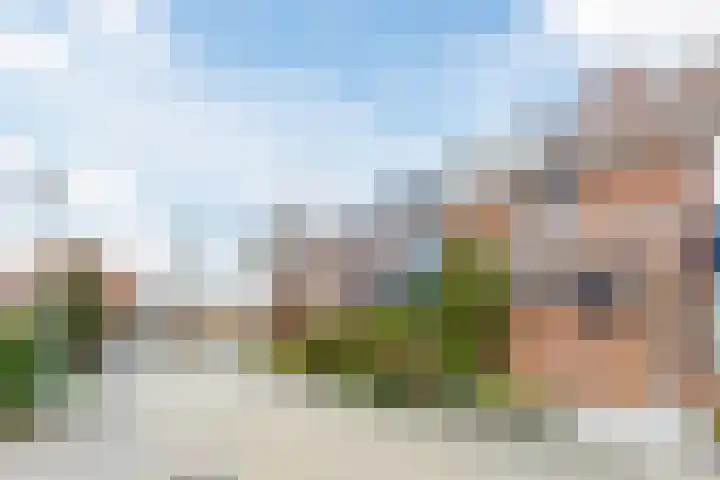 Doktersland 35 Koog aan de Zaan thumbnail 6