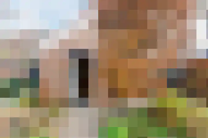 Doktersland 35 Koog aan de Zaan thumbnail 7