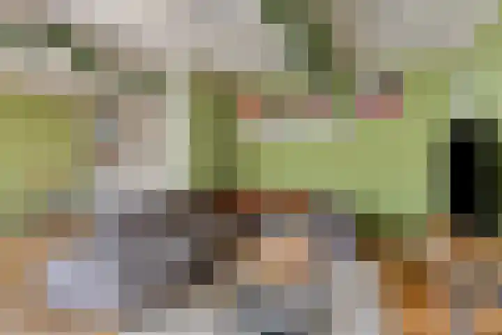 Doktersstraat 17 Ossendrecht thumbnail 13